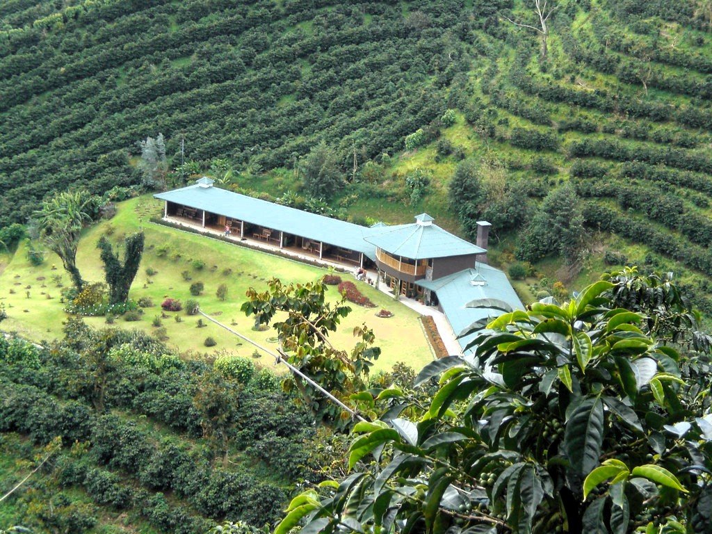 ELIDA COFFEE ESTATE